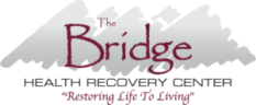 The Bridge Recovery Logo